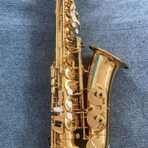 DAS100 Alto Saxophone — Gold