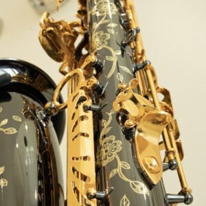 DAS500 Alto Saxophone — Black & Gold