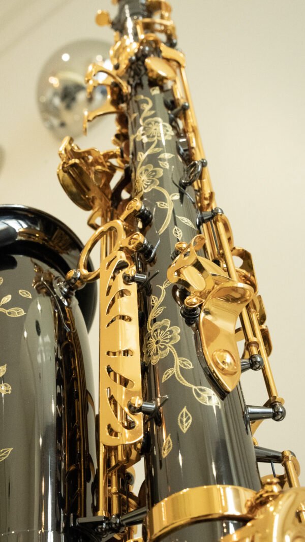 DAS500 Alto Saxophone — Black & Gold